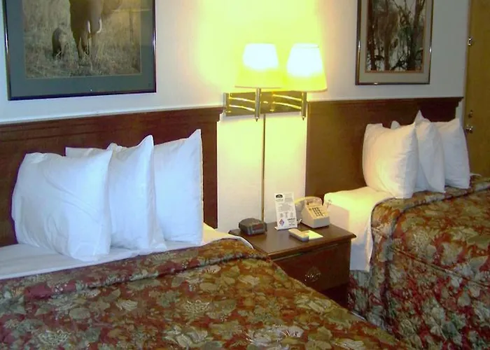 Hotel Knights