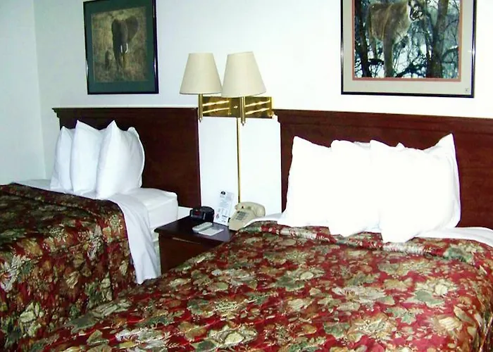 Knights Hotel 3*