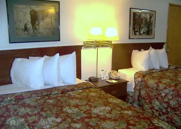 Knights Hotel 3*